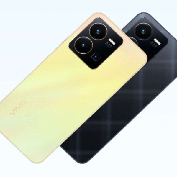 vivo